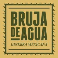 http://www.bienaltlatelolca.org/files/gimgs/th-59_Logo Bruja.jpg